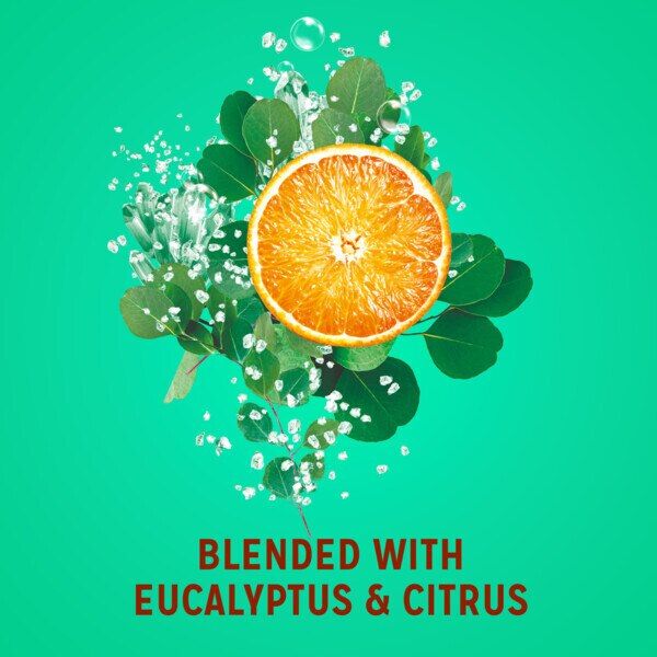 Radox Feel Refreshed Mood Boosting Body Wash 225ml