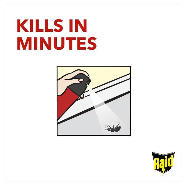 Raid Ant & Cockroach Killer 300ml