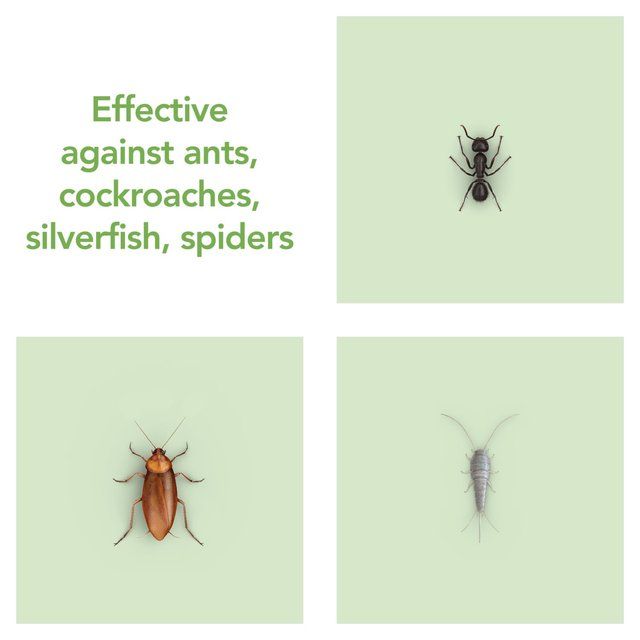 Raid Plant Based Crawling Insect Killer Aerosol Spray 300ml