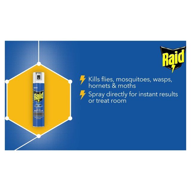 Raid Rapid Action Fly & Wasp Killer 300ml