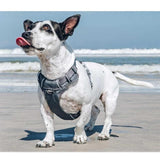 Red Dingo Cool Grey Padded Dog Harness