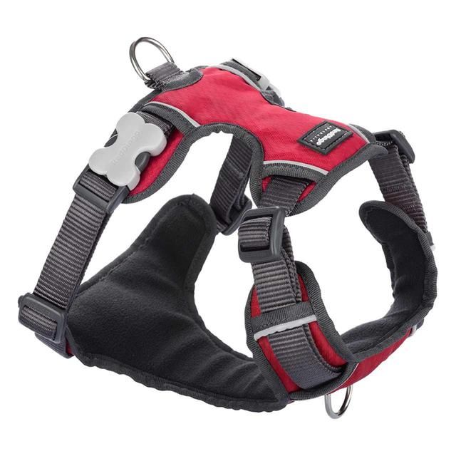 Red Dingo Red Padded Dog Harness