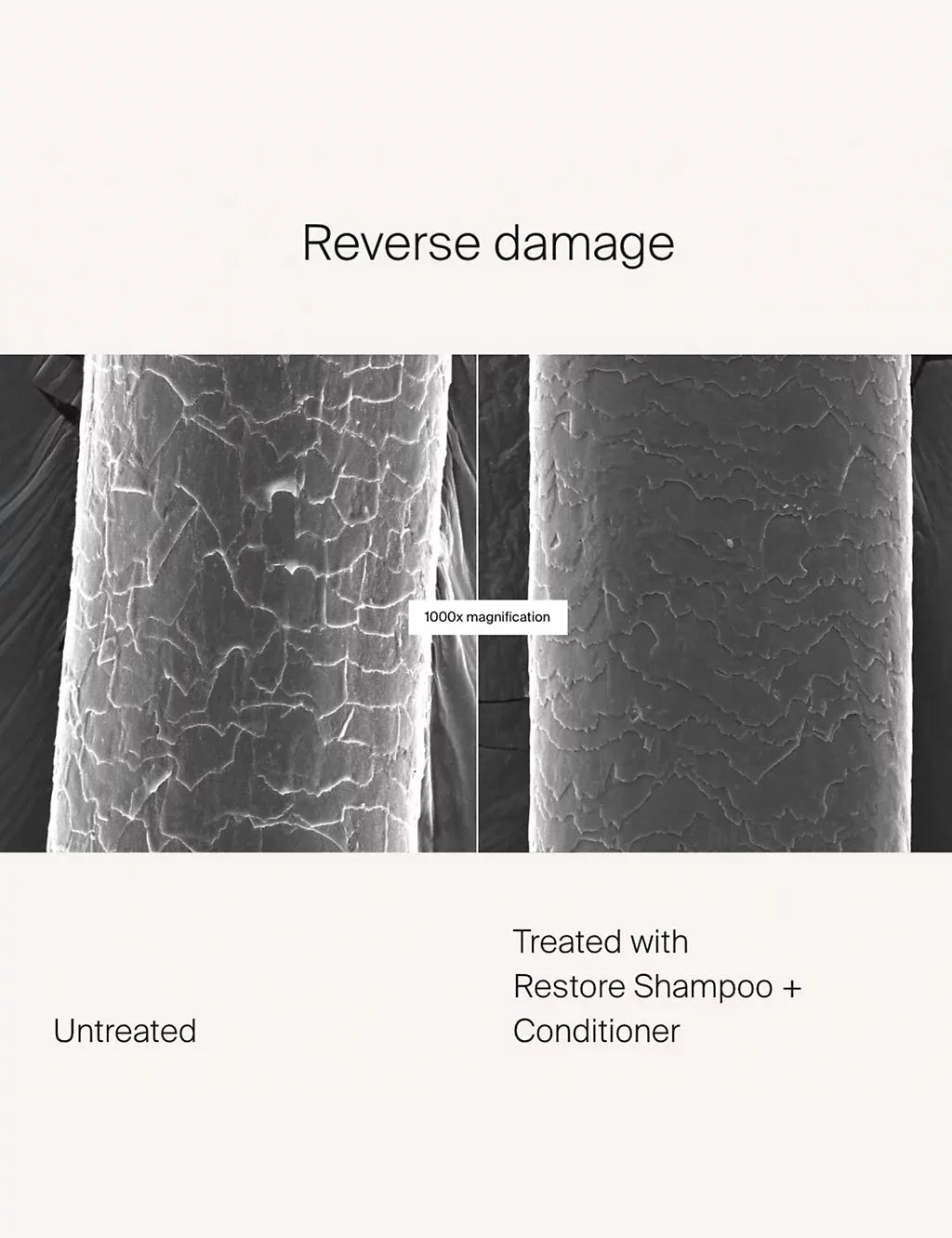 Restore Shampoo 236ml