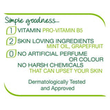 Simple Gentle Care Hand Wash 250ml