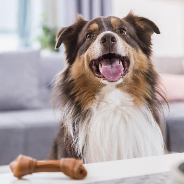 SmartBones 2 Medium Sweet Potato Rawhide Free Bone Dog Treats 158g