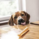 SmartBones Chicken Rawhide Free Sticks Dog Treats 100g