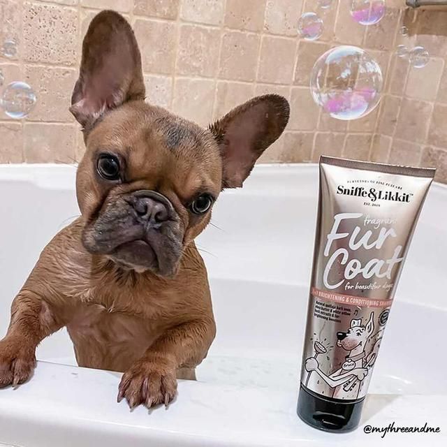Sniffe & Likkit Fur Coat 3-in-1 Brightening & Conditioning Dog Shampoo 250ml