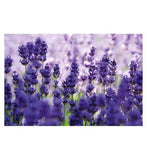 Weleda Lavender Bath Milk Vegan 200ml Make Up & Beauty Accessories Boots