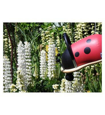 Wheely Bug Ride On Toy Ladybird Small GOODS Boots