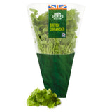 ASDA Aromatic & Zesty Growing Coriander herb kit - British product