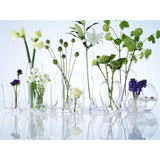 LSA International clear glass vase H17cm, UK version