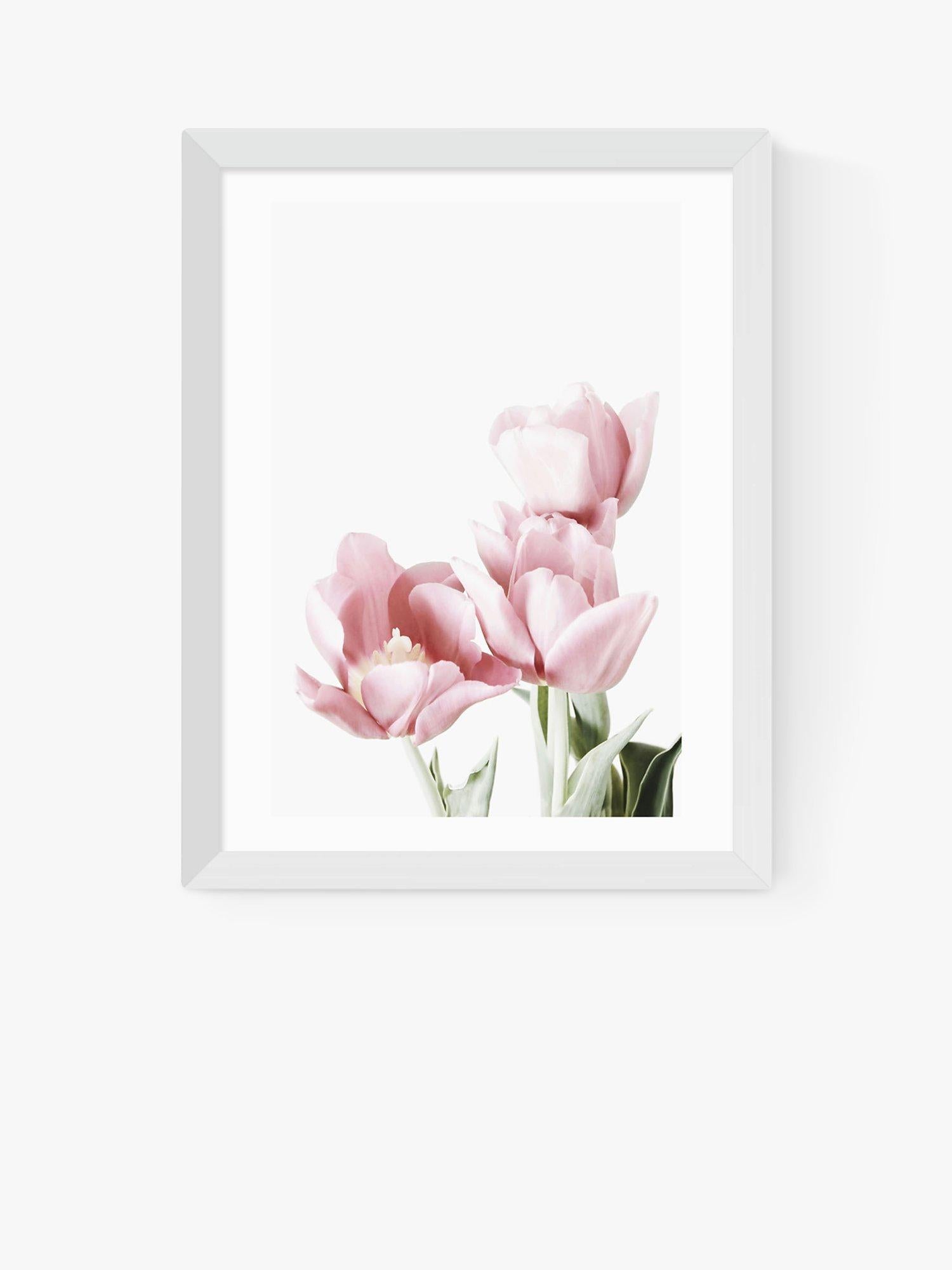 EAST END PRINTS Tulips framed print in white frame - British product
