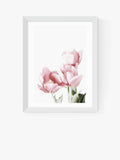 EAST END PRINTS Tulips framed print in white frame - British product