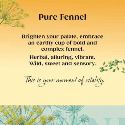 Twinings Pure Fennel Tea Bags 20 Count 40g (British brand)