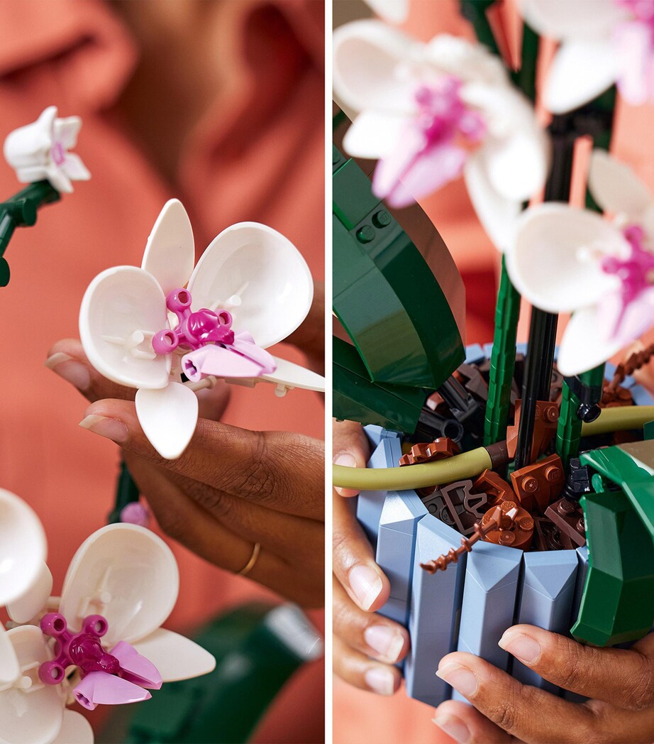 Botanical Orchid Display Building Set with Vase and 608 Pieces
