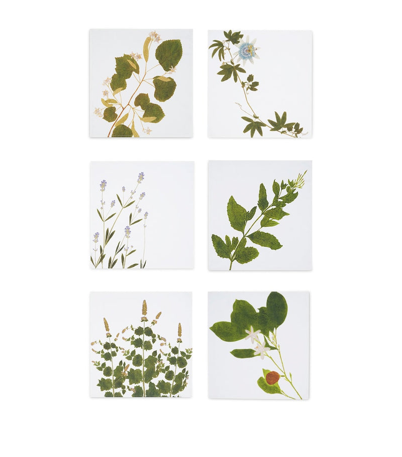 Summerill & Bishop Tisane Herb Garden linen napkins set of 6 50cm x 50cm (British brand)