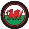 Wye Valley Brewery Butty Bach Premium Ale 500ml (British brand)
