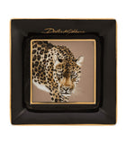 Dolce&Gabbana Casa Leopard decorative square porcelain plates set of 3 10cm - British product