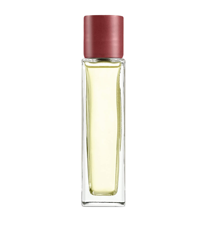 LOEWE beetroot scented room spray 150ml bottle, UK version