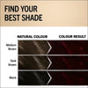 Schwarzkopf Oleo Intense Deep Bordeaux Hair Dye (British brand)