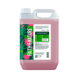 Faith in Nature Dragon Fruit Shampoo 5L