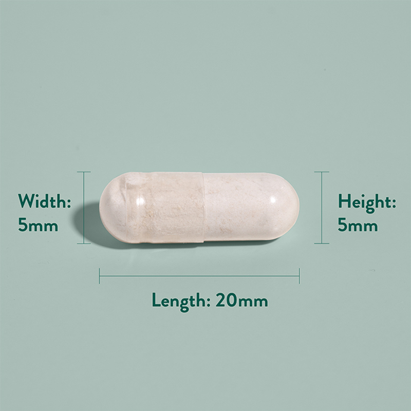 Holland Barrett Gentle Iron 20mg 90 Capsules