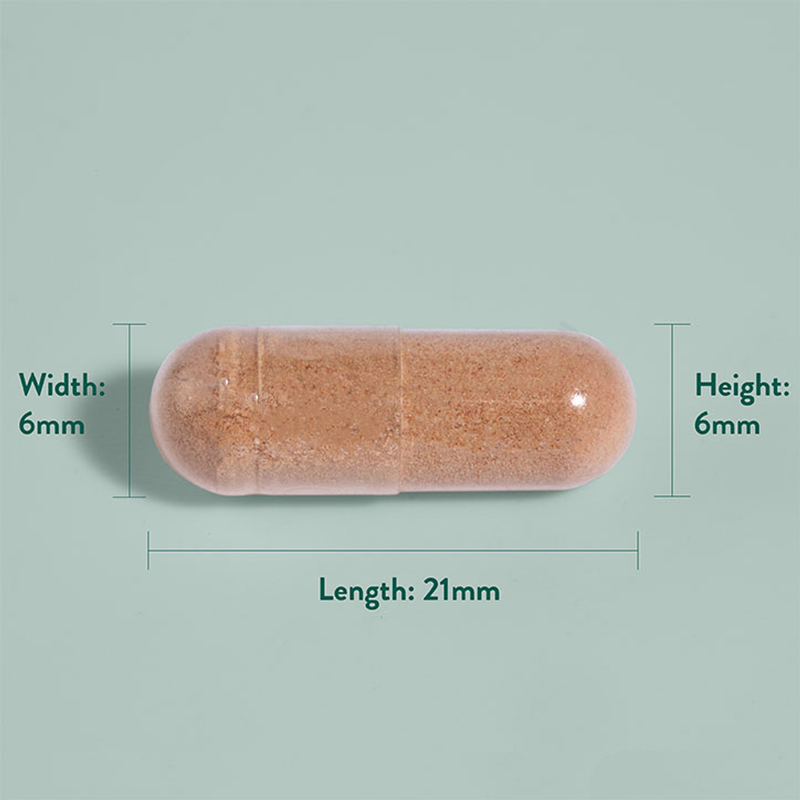 Holland Barrett Pycnogenol 60mg 30 Capsules