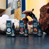 Bristol Fungarium Reishi 18 Triple Extract Tincture 30ml