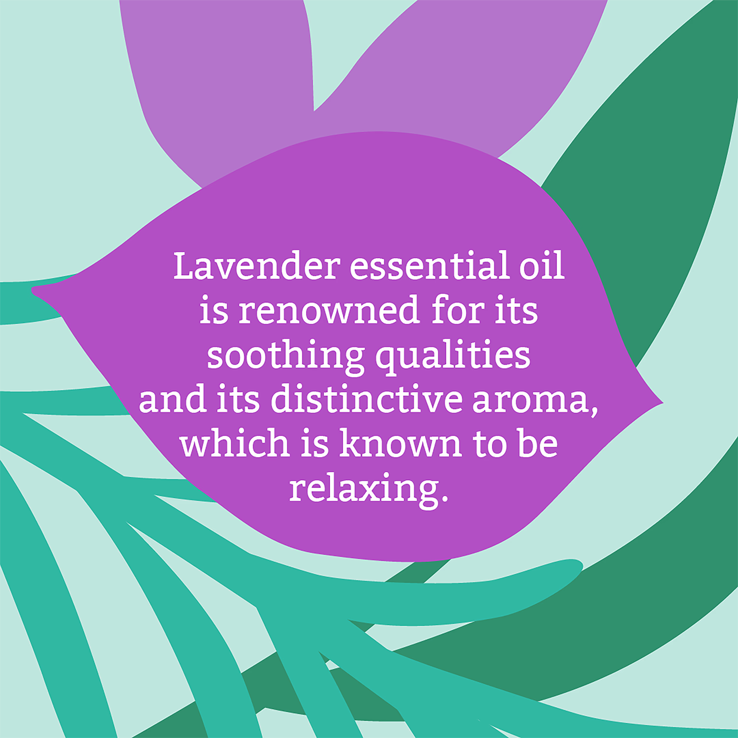 Faith In Nature Soap Bar Lavender 100g