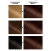Garnier Nutrisse 4 Dark Brown permanent hair dye, UK version