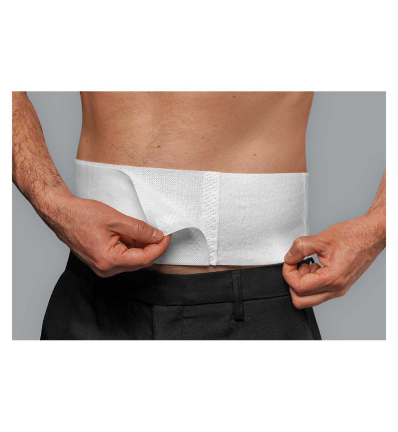 ThermaCare heatwrap back pain relief 2 pack (British brand)