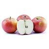 Sainsburys Cox Apples Loose