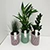 Green Plant Cut Zinc Pot