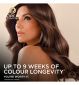 L'Oréal Paris Permanent Colour 4.013 Refined Brown, UK version