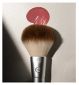 EcoTools Precision Blush Brush - British product