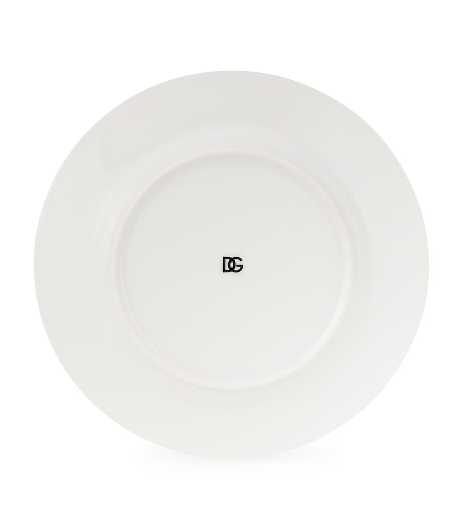 Dolce&Gabbana Casa DG logo dinner plates 26.5cm - British product