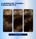 Clairol Nice n Easy Brown Black hair dye 177ml, UK version