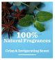 Bulldog Peppermint Eucalyptus Shower Gel 500ml - British product