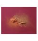 Wet n Wild MegaGlo Blushlighter Bling 10g (British brand)