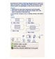 Boots Waterproof Plasters Assorted Sizes 20 Pack - British product