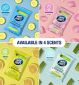 Wet Ones Antibacterial Hand Wipes Be Gentle Biodegradable 12 Pack (British brand)