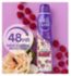 Soft & Gentle Berry Bliss anti-perspirant spray 250ml (British brand)