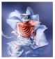 Lancôme La Vie Est Belle 50ml, imported from the UK