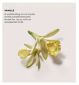 Laura Mercier Vanille Eau de Parfum 50ml, UK version
