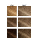 Garnier Belle Color 7.1 Natural Dark Ash Blonde hair dye - British product