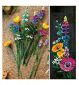 LEGO Wildflower Bouquet Building Set , imported from the UK