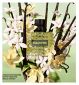 Valentino Born In Roma fragrance bottle 50ml (British brand)