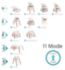Tutti Bambini Nova Evolutionary Highchair Scandinavian Walnut Ecru, imported from the UK