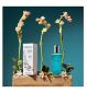 Yardley English Jasmine body spray 125ml (British brand)