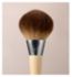 EcoTools Blurring Powder Brush Makeup Tool - British product